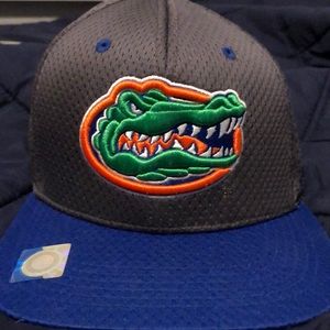 Florida Gators Baseball Cap